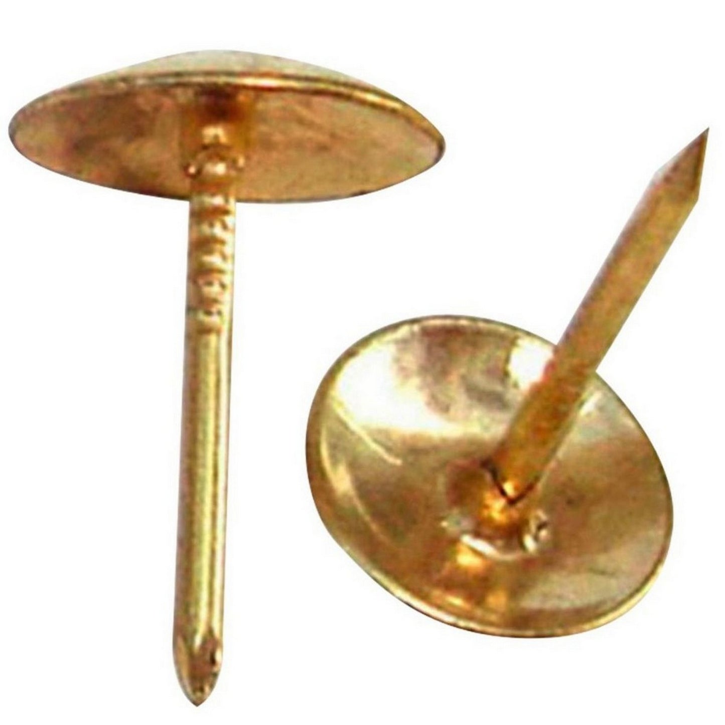 kg CHINCHE DORADA 16mm