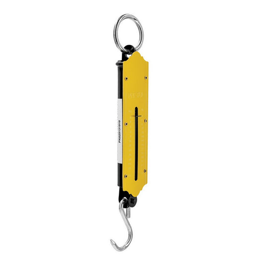 BASCULA ROMANA 25 KG