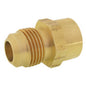 NIPLE CAMPANA FLARE-NPT 1/4" x 1/4"