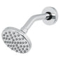 REGADERA REDONDA 4" CON BRAZO