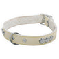 COLLAR PARA PERRO CROMO 1-1/2"
