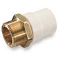 ADAPTADOR MACHO CPVC C/INJERTO BCE 1"