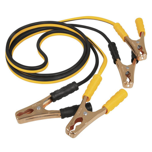 CABLE PASA CORRIENTE 2.5 mt CAL.10
